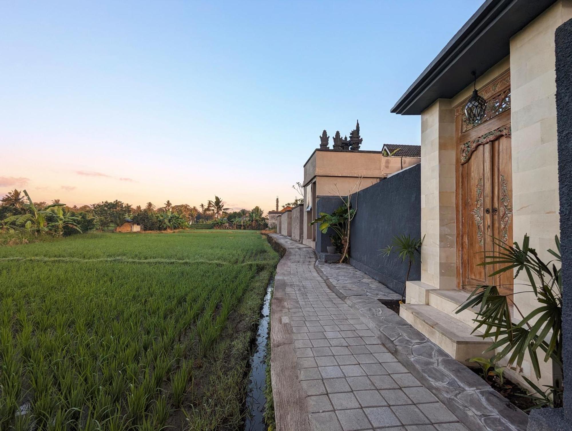 Villa Na-Na Ubud Buitenkant foto